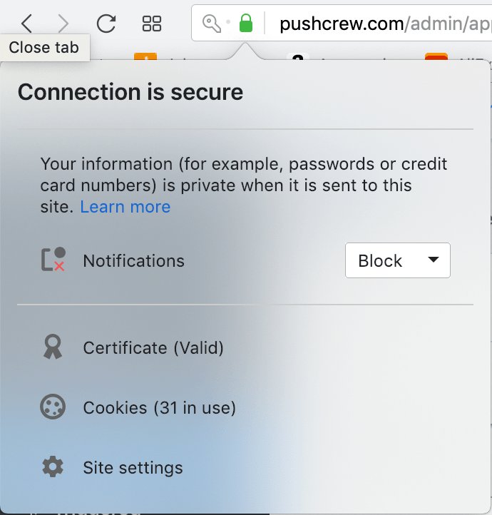 lock icon next to website on your opera browser