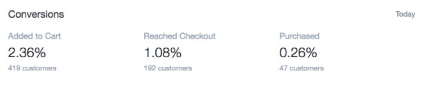 Shopify Survey Report