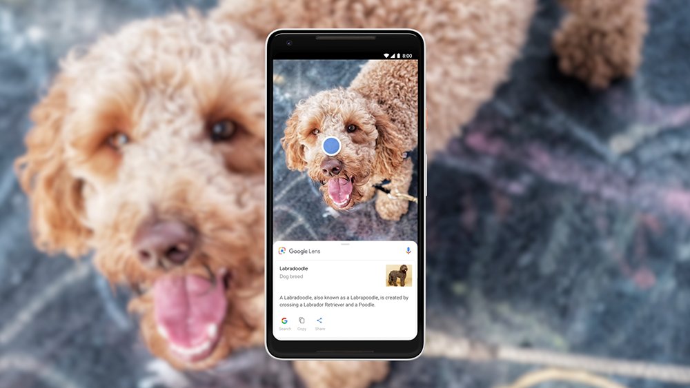 Visual Search